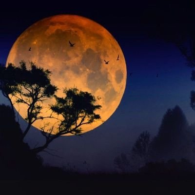 a8aa37d096604b8's profile picture. الأسهم الأمريكية
مهتم في التحليل الفني للأسهم