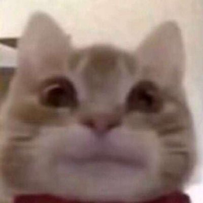 brammie15's profile picture. 