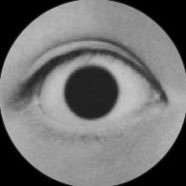 Ca.9 (@propertyofcd) 's Twitter Profile Photo Ca.9 (@propertyofcd) 's Twitter Profile Photo