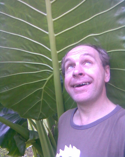 dave_merit's profile picture. Forever seeking the less-known thing