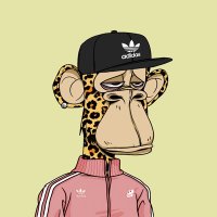 🚀and🚲 (@lec8406) 's Twitter Profile