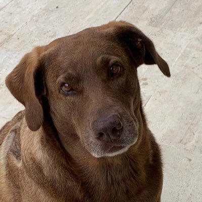 ouioui2020's profile picture. 