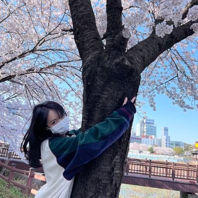 휴지さんのプロフィール画像