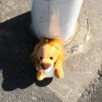 ใฉใใฉใ๐
(@doidoitmt) 's Twitter Profile