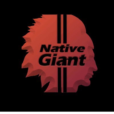 Professional non-professional gamer! Follow me on Twitch! native_giant