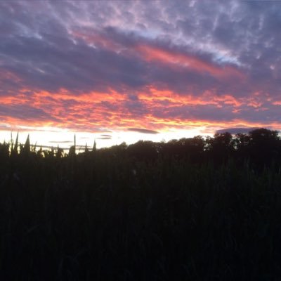 coolmool8's profile picture. 