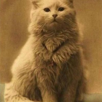 桐蔭横浜大学 臨床工学科です！ 男です！ これからよろしくお願いします！