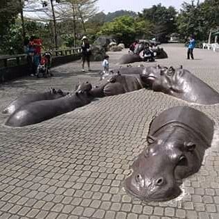 Ruoko7's profile picture. 