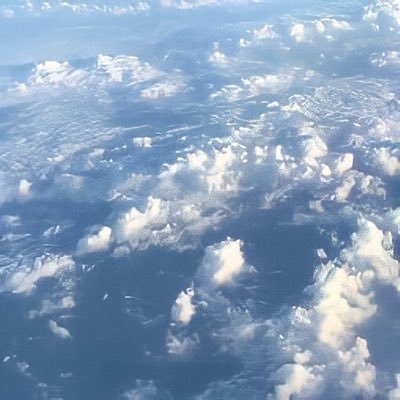 BLMNさんのプロフィール画像