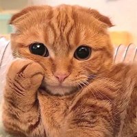 rehan (@rehan30878491) 's Twitter Profile Photo rehan (@rehan30878491) 's Twitter Profile Photo