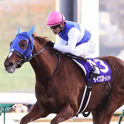 keibabito417's profile picture. 競馬が好きな大学生です