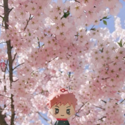 はちすさんのプロフィール画像