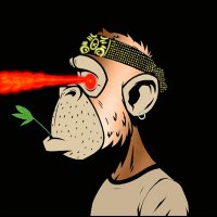 NFT Experimenter (@nftexperimenter) 's Twitter Profile
