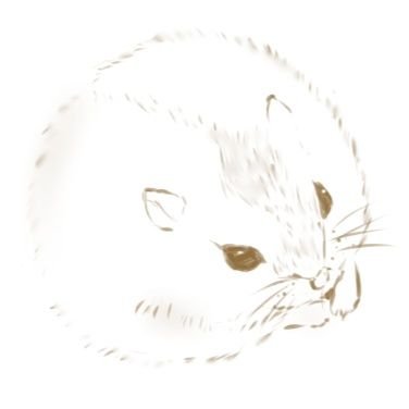 りがりっつさんのプロフィール画像