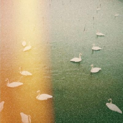 Leburta(リベルタ)is Japanese band. p!pp! records. https://t.co/MCid0d5hf8