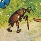 escarabajo queer vetusto