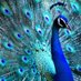 JunoArgus 🇮🇱 🎗 💚♥️💛💙🤍 (@argusjuno) Twitter profile photo JunoArgus 🇮🇱 🎗 💚♥️💛💙🤍 (@argusjuno) Twitter profile photo