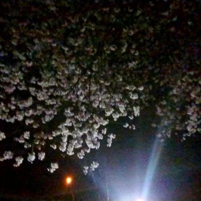 冥《闇垢》さんのプロフィール画像