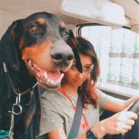 Karishma Hasnat (@karishmahasnat) 's Twitter Profile Photo Karishma Hasnat (@karishmahasnat) 's Twitter Profile Photo
