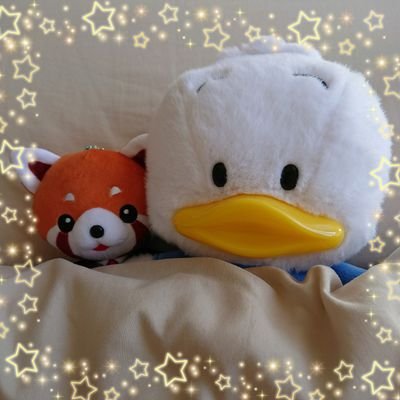 さーちゃん☺さんのプロフィール画像