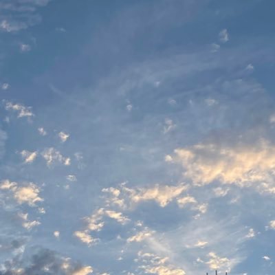 Kimiiro_kotoha's profile picture. 手探りで始めた中受垢 多分期間限定 情報収集メイン