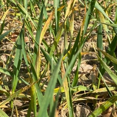 sabinesaktion's profile picture. 