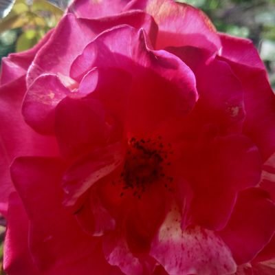 BmWasnthakumar1's profile picture. Horana