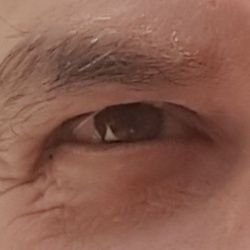 MarcelloTallo's profile picture. Il mondo non è degli uomini, gli uomini sono parte del mondo.

Sono prodotto con materiale salvini/meloni/renzi repellente.