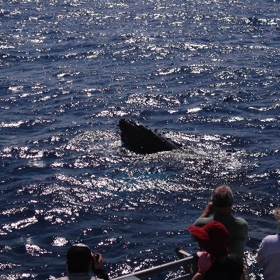 Matsu34631034's profile picture. 