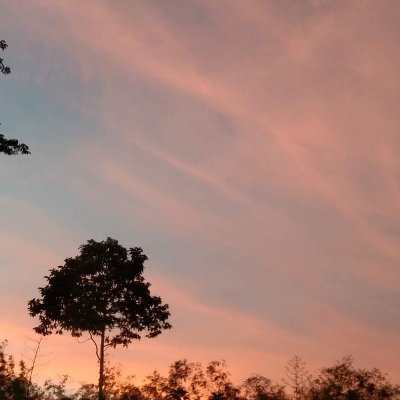 rom2070332490's profile picture. 🧸