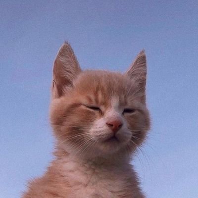 ilmanafiahs's profile picture. an astrophile.