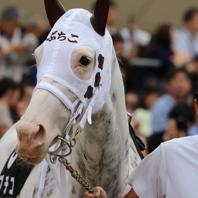 馬ちゃん大好き 好きな馬はゴールドシップとエフフォーリア 。リツイート中心です