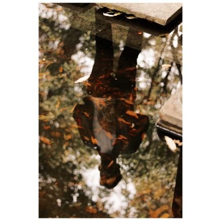 AdhikaryBisswas's profile picture. 