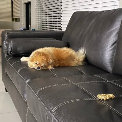 Hanny474747's profile picture. 