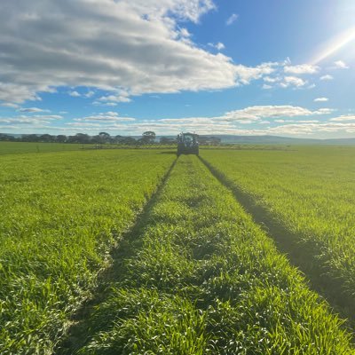 Farmer formally Carpenter.
Interested in new and innovative farming systems.