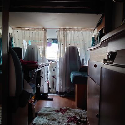 たわいもない日々のこと。
YouTube再開しました→https://t.co/qTZmQaRTcQ