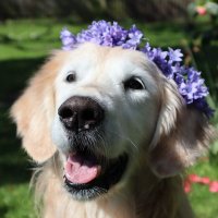 Bramber Bears💜 (@thewordoferynn) 's Twitter Profile