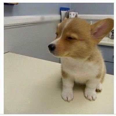 duqueconti's profile picture. Posto umas coisas aí e tento ser tiktoker nas horas vagas. Segue nois 😁