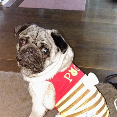 R5AwDRpvR3j6vgL's profile picture. 