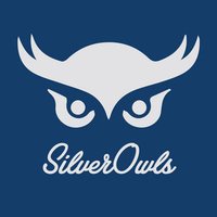 Silver Owls (@silverowlscork) 's Twitter Profile