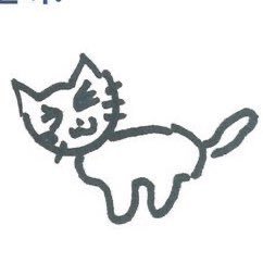 jaemin cat content