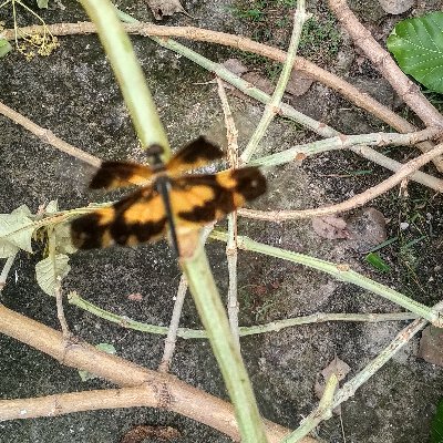 intuition_mr's profile picture. 