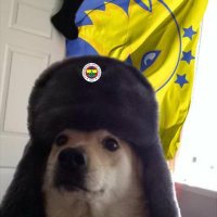 Kendine Trader (@lkendinetraderl) 's Twitter Profile