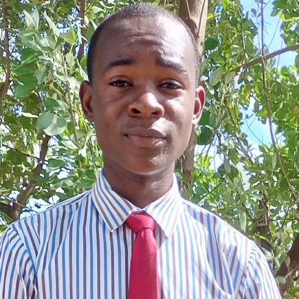 DavidSi33491813's profile picture. 