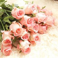 Umar Almani (@umaralmani9) 's Twitter Profile