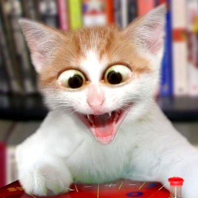 LucJMC's profile picture. 