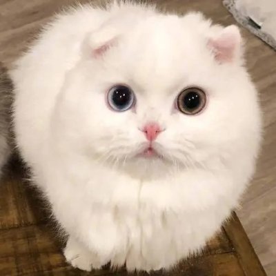 wajatbgfy's profile picture. Enjoy the journey.