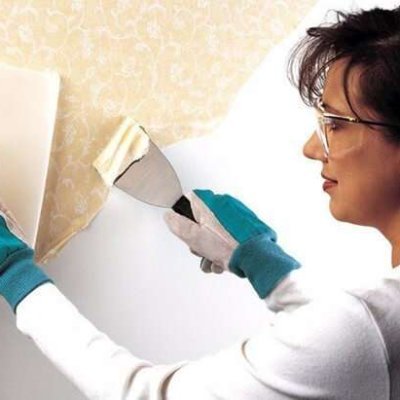 BehangVerwijder's profile picture. Behang Verwijderen