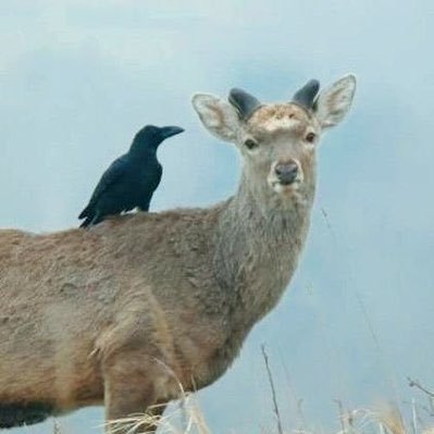 rereさんのプロフィール画像