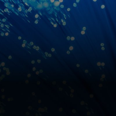 FortaProtocol's profile picture. This account is no longer maintained. Follow us @FortaNetwork.